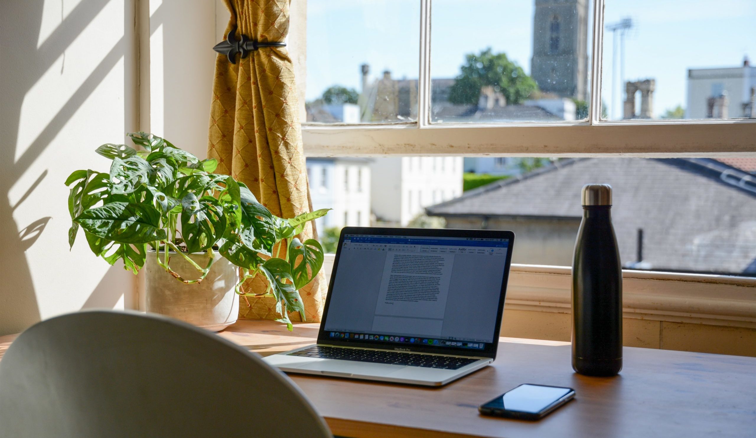 A laptop by a window and a green, flourishing plant