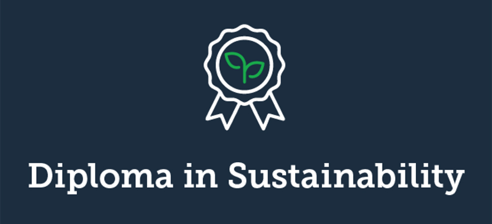 Diploma in Sustainability subheading graphic